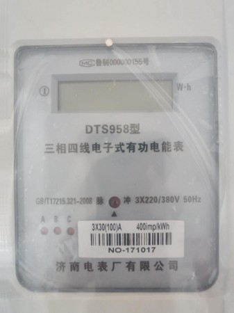 DTS958电能表